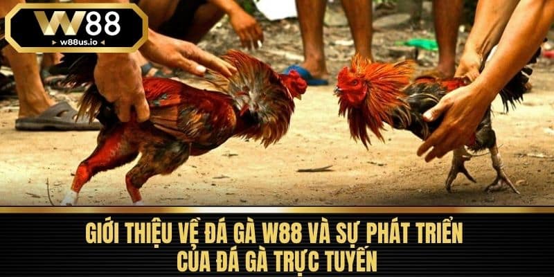 Đá gà W88 1 Giới Thiệu Về Đá Gà W88 Và Sự Phát Triển Của Đá Gà Trực Tuyến