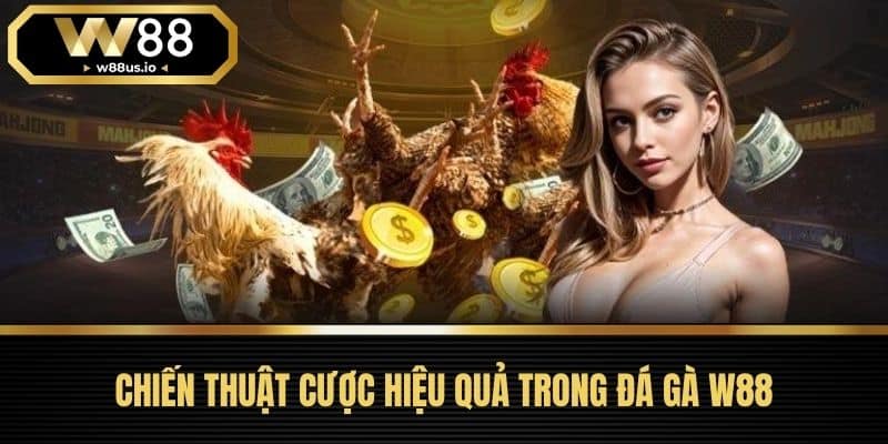 Đá gà W88 4 Chiến Thuật Cược Hiệu Quả Trong Đá Gà W88